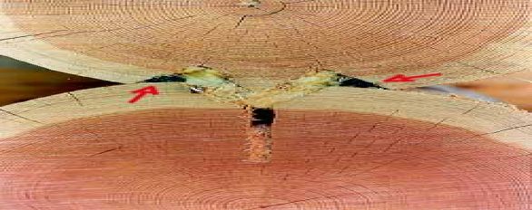 Backer-rod, Gasketing, Oakum