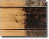 Wood Cleaner